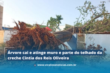 Árvore cai e atinge muro e parte do telhado da creche Cíntia dos Reis Oliveira 