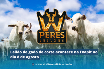 Leilão de gado de corte acontece na Exapit no dia 8 de agosto 