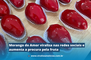Morango do Amor viraliza nas redes sociais e aumenta a procura pela fruta 