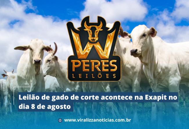 Leilão de gado de corte acontece na Exapit no dia 8 de agosto 